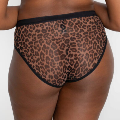 Sheer Mesh High Cut Brief Panty